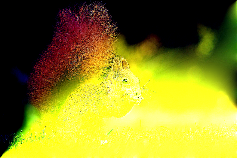 squirrel emboss in the poisson domain