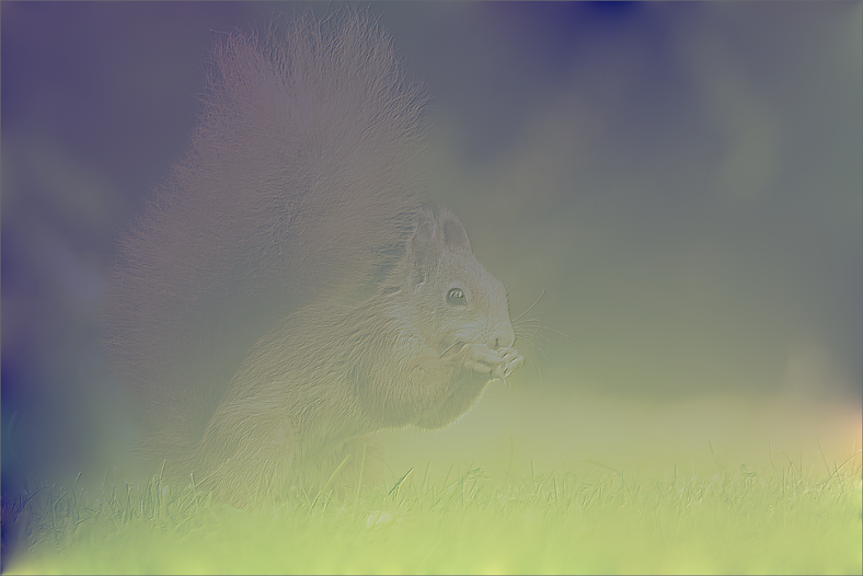 squirrel emboss in the poisson domain normalized